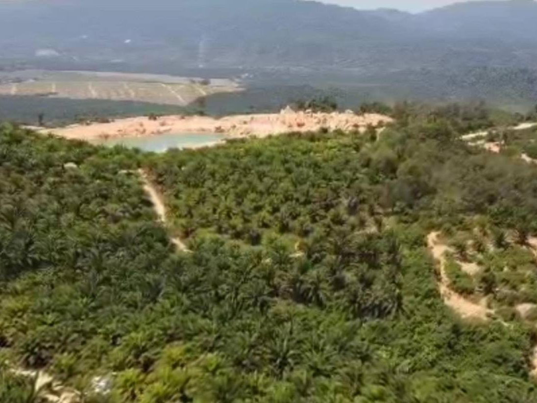 Tanah 100 Ekar Tampin Negeri Sembilan Mukim Repah Pertanian Sawit