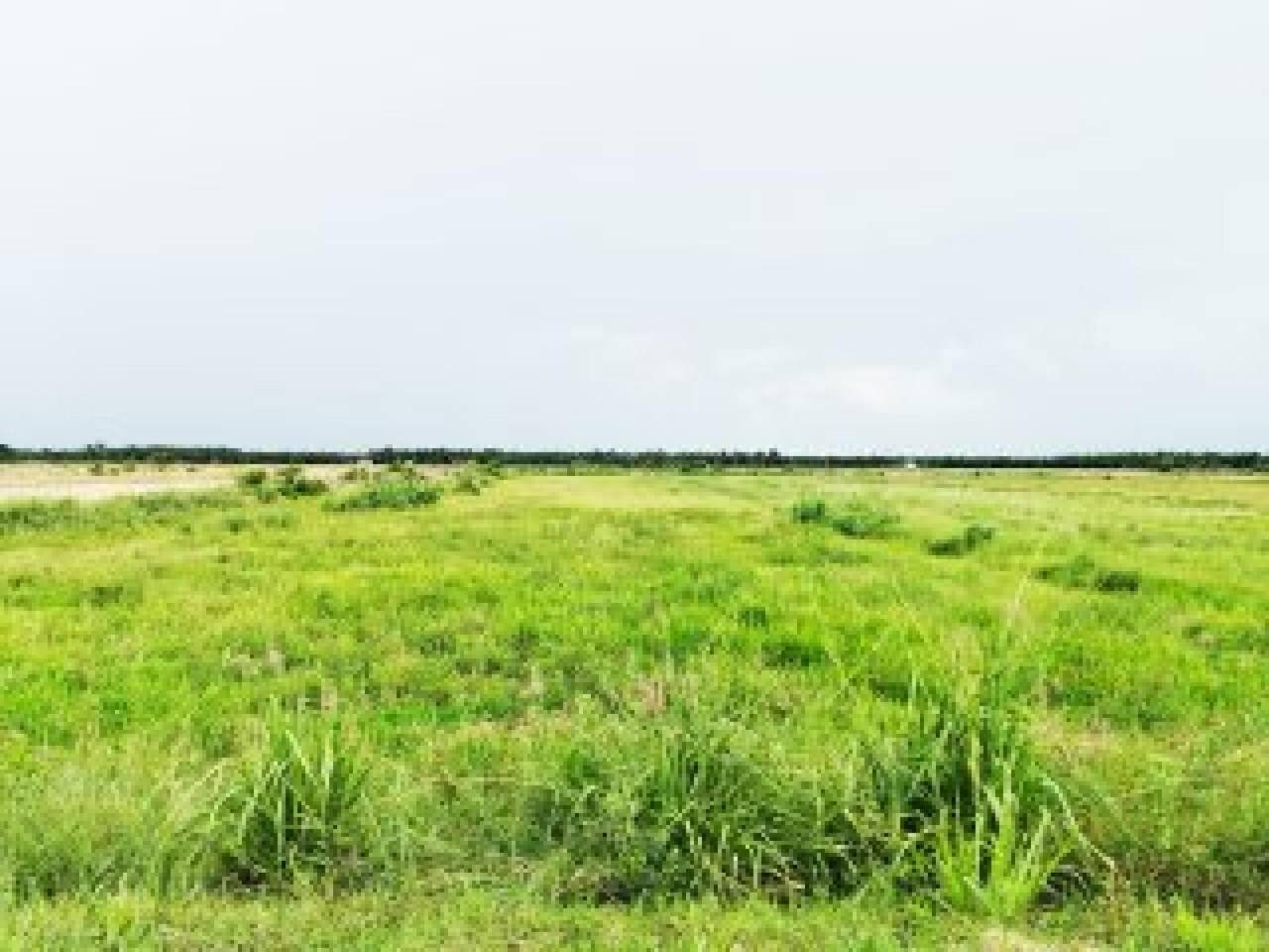 Tanah 2.9 Ekar Endau Johor Kampung Hubong Leasehold Sawah Padi Tepi Jalan