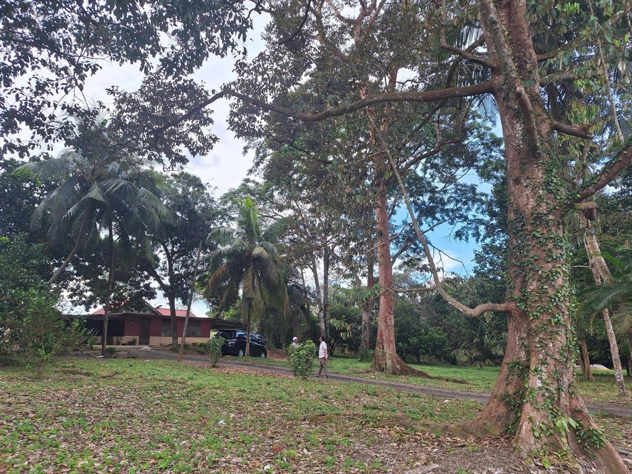Tanah 2 Ekar Gelang Patah Johor Tanjung Kupang Freehold Dusun Rumah 5 Bilik