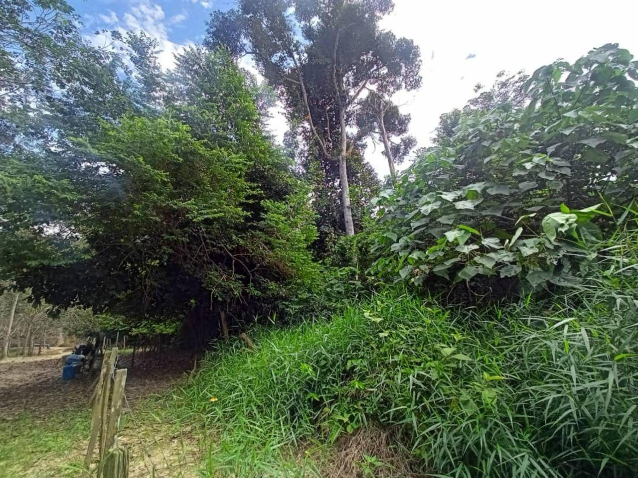Tanah 2.97 Ekar Jelebu Kampung Durian Tipus Kebun Durian Freehold