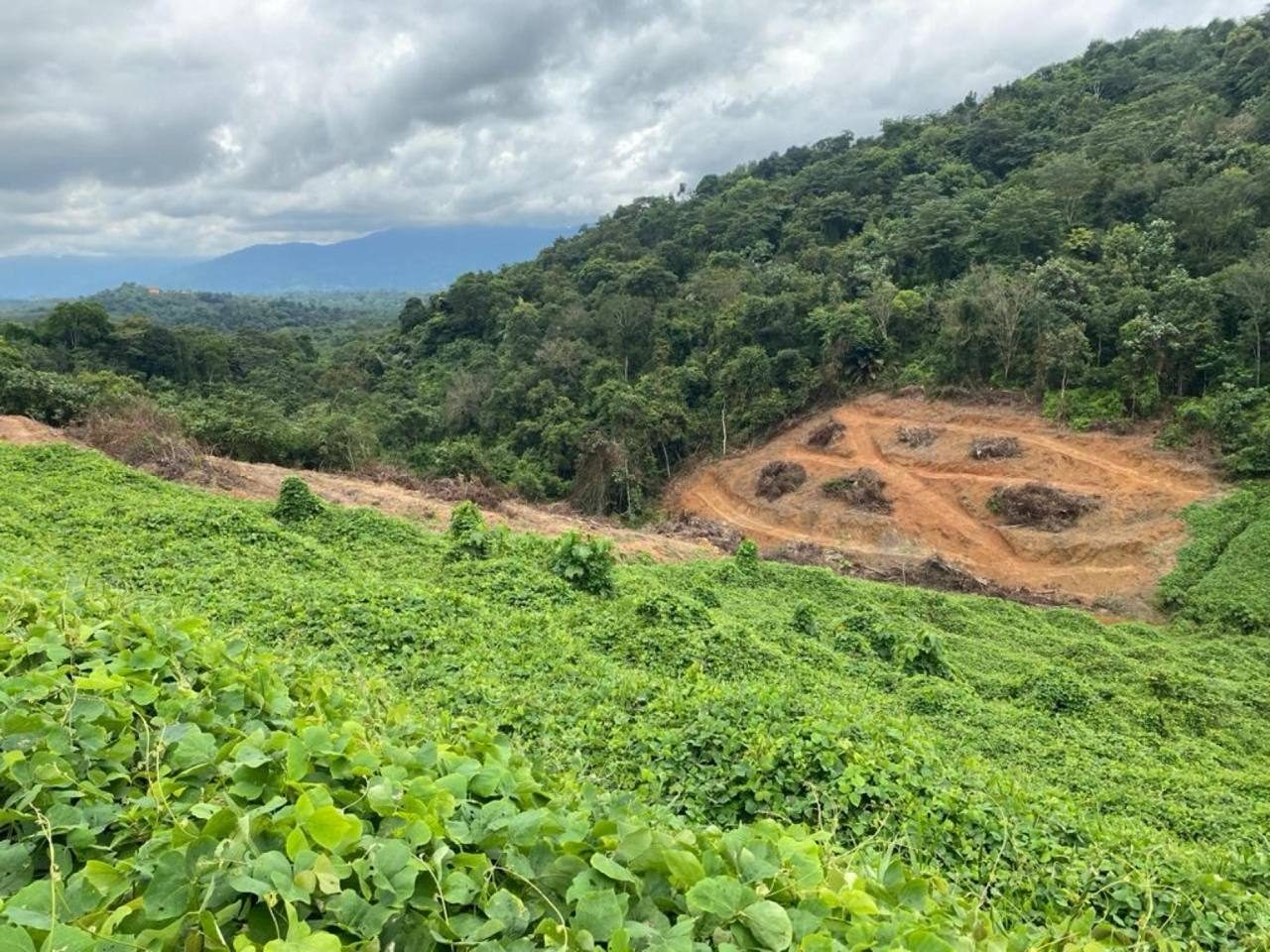 Tanah 4.4 Ekar Mukim Chengkau Rembau Negeri Sembilan Freehold Akses Jalan