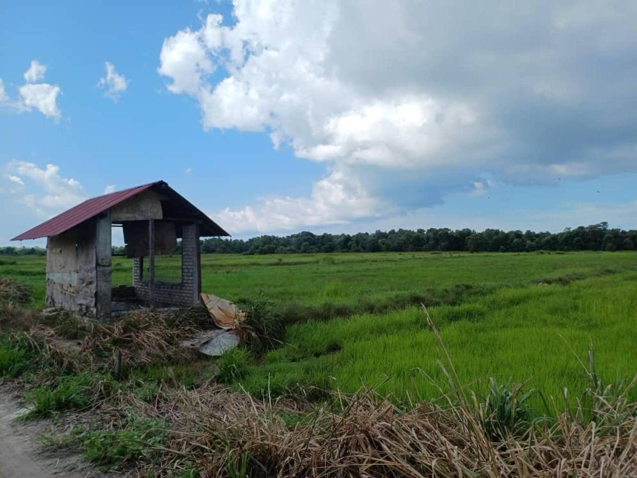 Tanah Paya Belok Pekan Pahang 2.47 Ekar Freehold