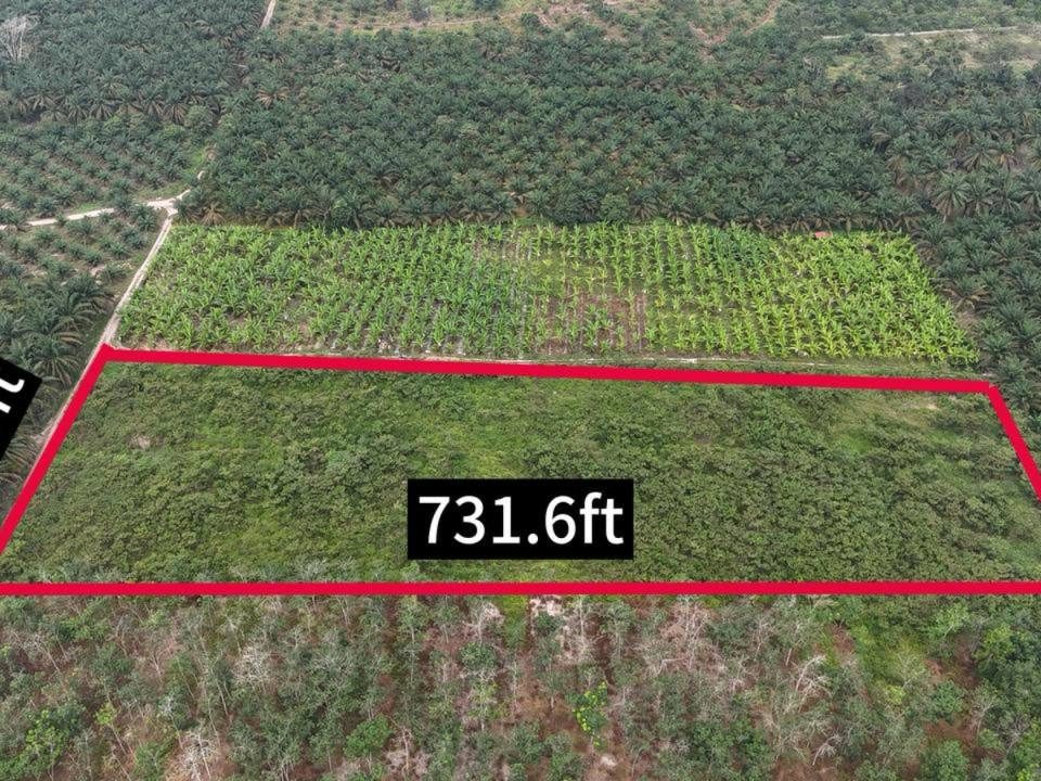 Tanah 4 Ekar Kampung Rahmat Sri Lalang Kluang Johor Freehold