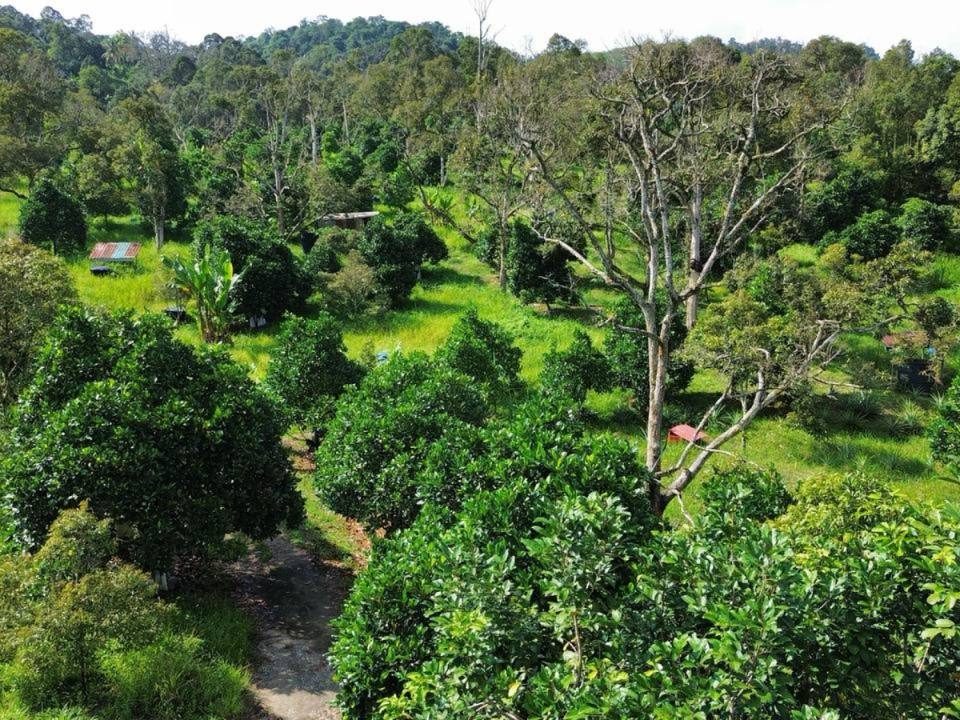 Tanah 3.41 Ekar Mantin Negeri Sembilan Dusun Durian Freehold