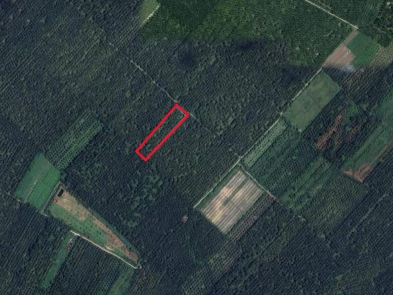 Tanah 2 Ekar Chenderong Balai Perak Kelapa Sawit Freehold