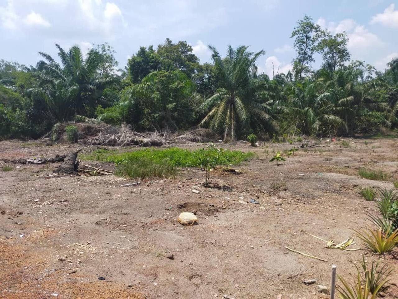 Tanah Pertanian 1 Ekar Kampung Seri Meranti Pagoh Muar Johor