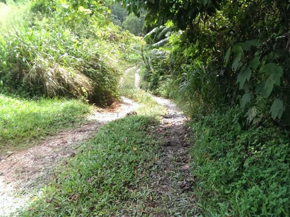 š TANAH LUAS 13.5 EKAR ā TEPI JALAN UTAMA, SLIM RIVER (TANJUNG MALIM)
