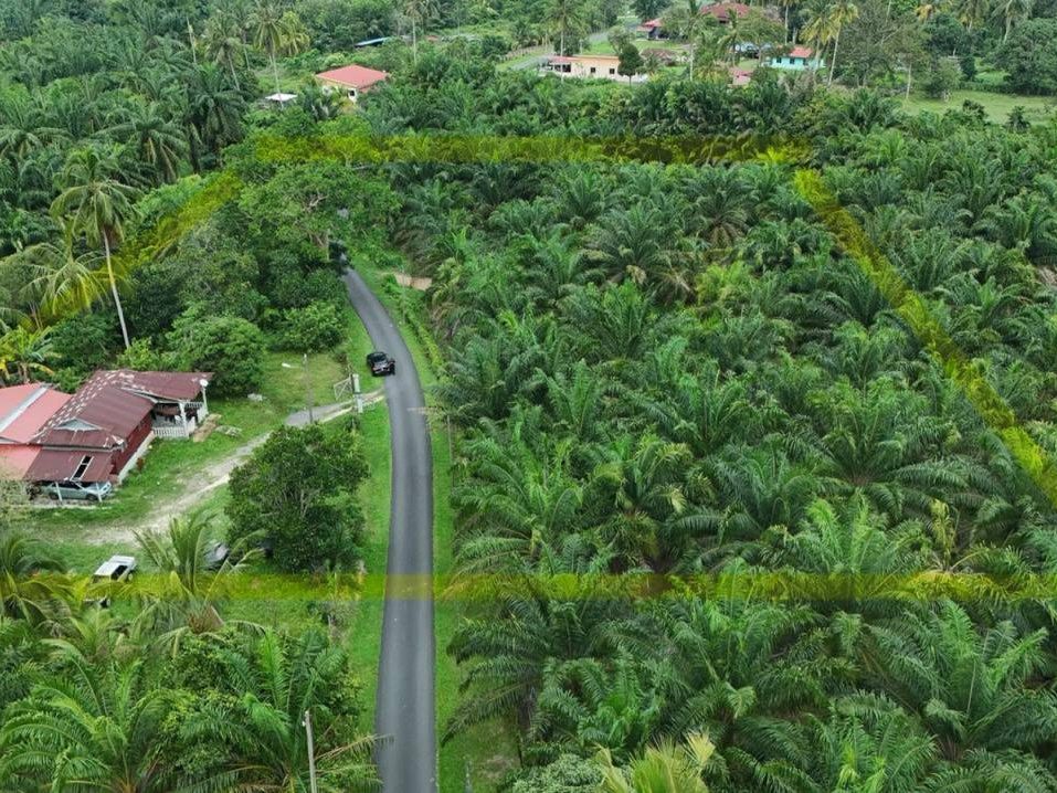 Tanah Pertanian Ulu Pondoi Tebong Tampin Negeri Sembilan 1.48 Hektar Freehold