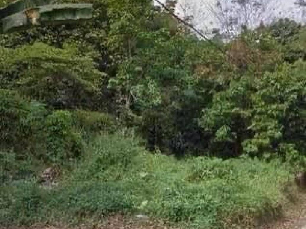 Tanah 4 Ekar Ulu Tiram Freehold Akses Jalan Tar Berhampiran Kawasan Perumahan