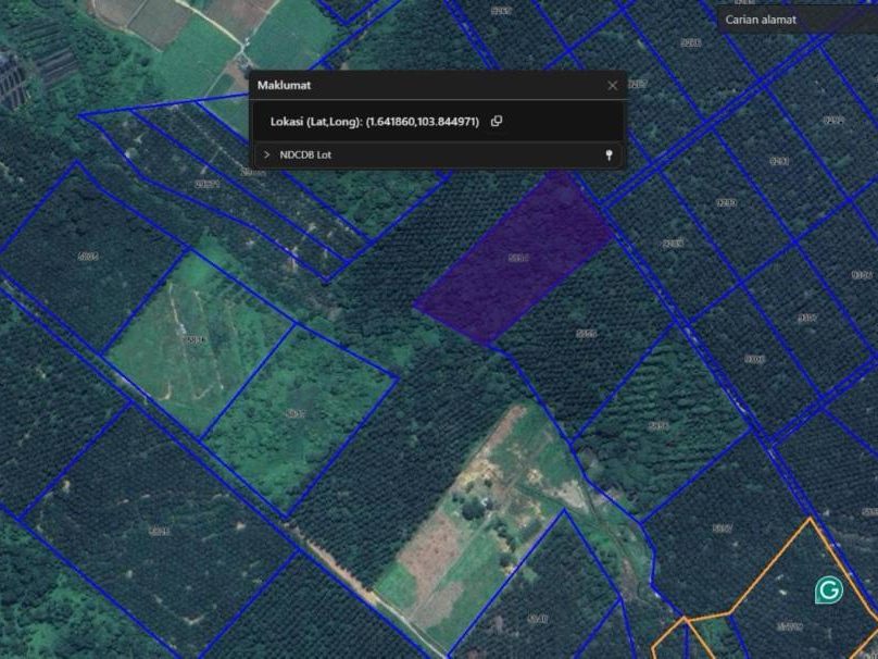 Tanah Dusun Freehold 3.98 Hektar Kota Tinggi Berhampiran Jalan Kota Tinggi–Johor Bahru