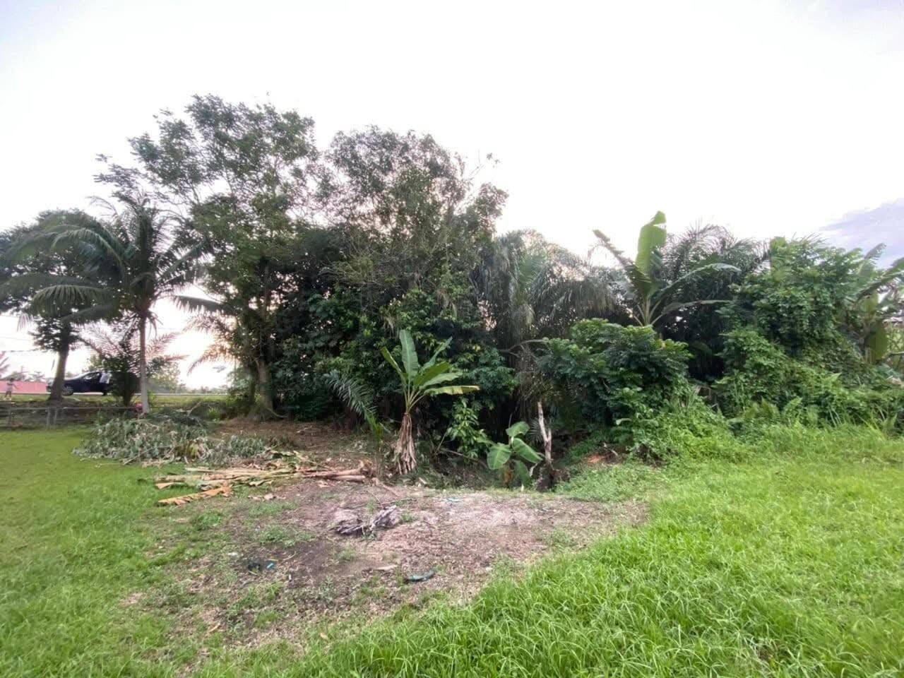 Tanah Banglo 10104 sqft Kluang Jalan Padang Tembak Kawasan Matang Akses Bandar