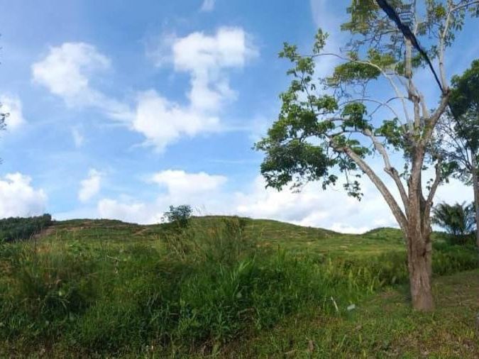 Tanah 20 Ekar Freehold Zoning Perumahan Jalan Padang Tembak Kluang Johor