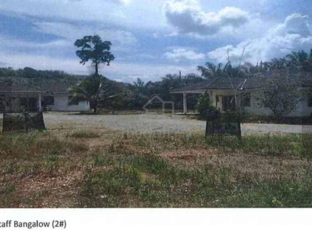 Tanah Pertanian Kelapa Sawit 1,293 Ekar Gua Musang Leasehold Siap Operasi Hasil Sedia Ada